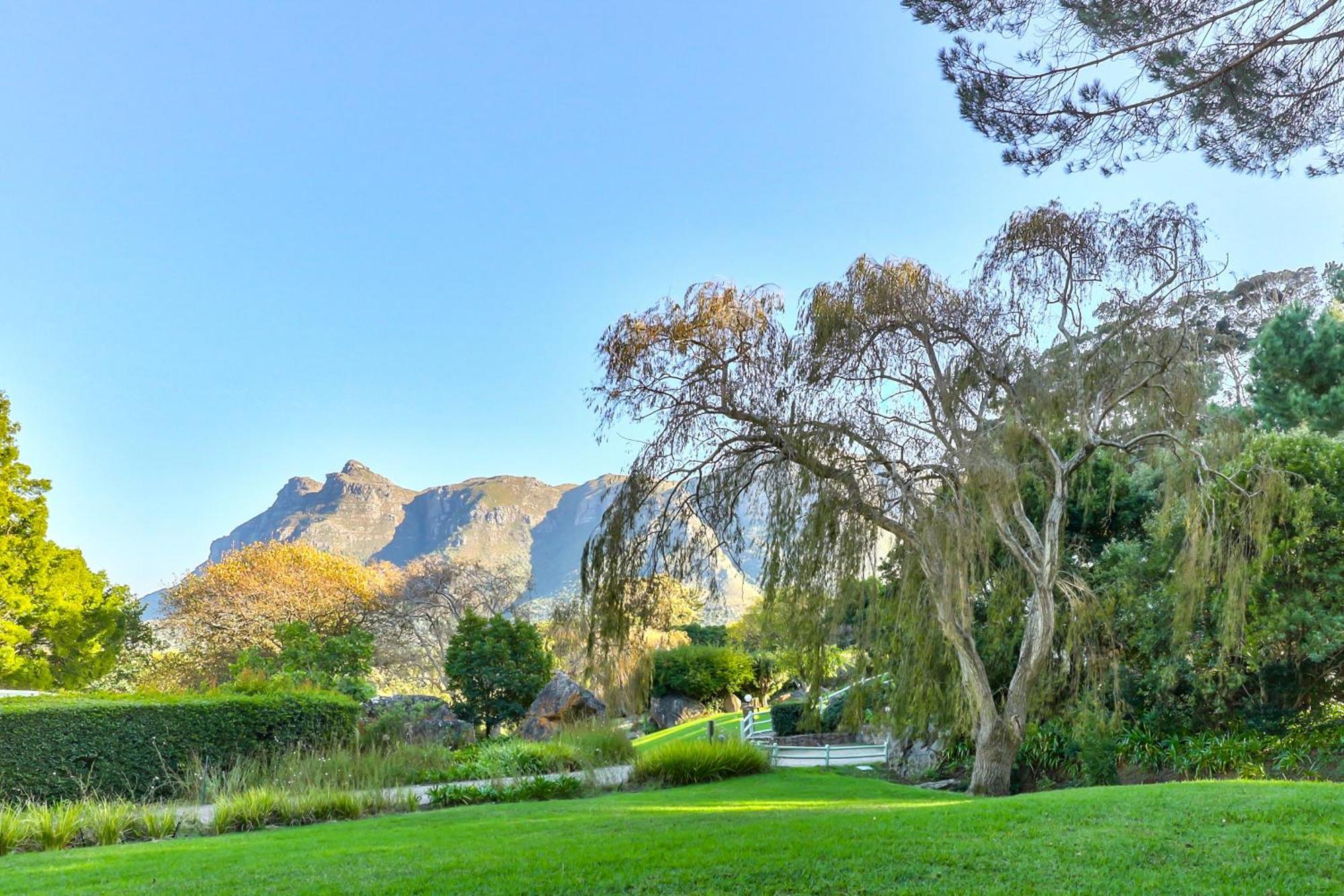 קייפטאון Houtkapperspoort Mountain Cottages מראה חיצוני תמונה